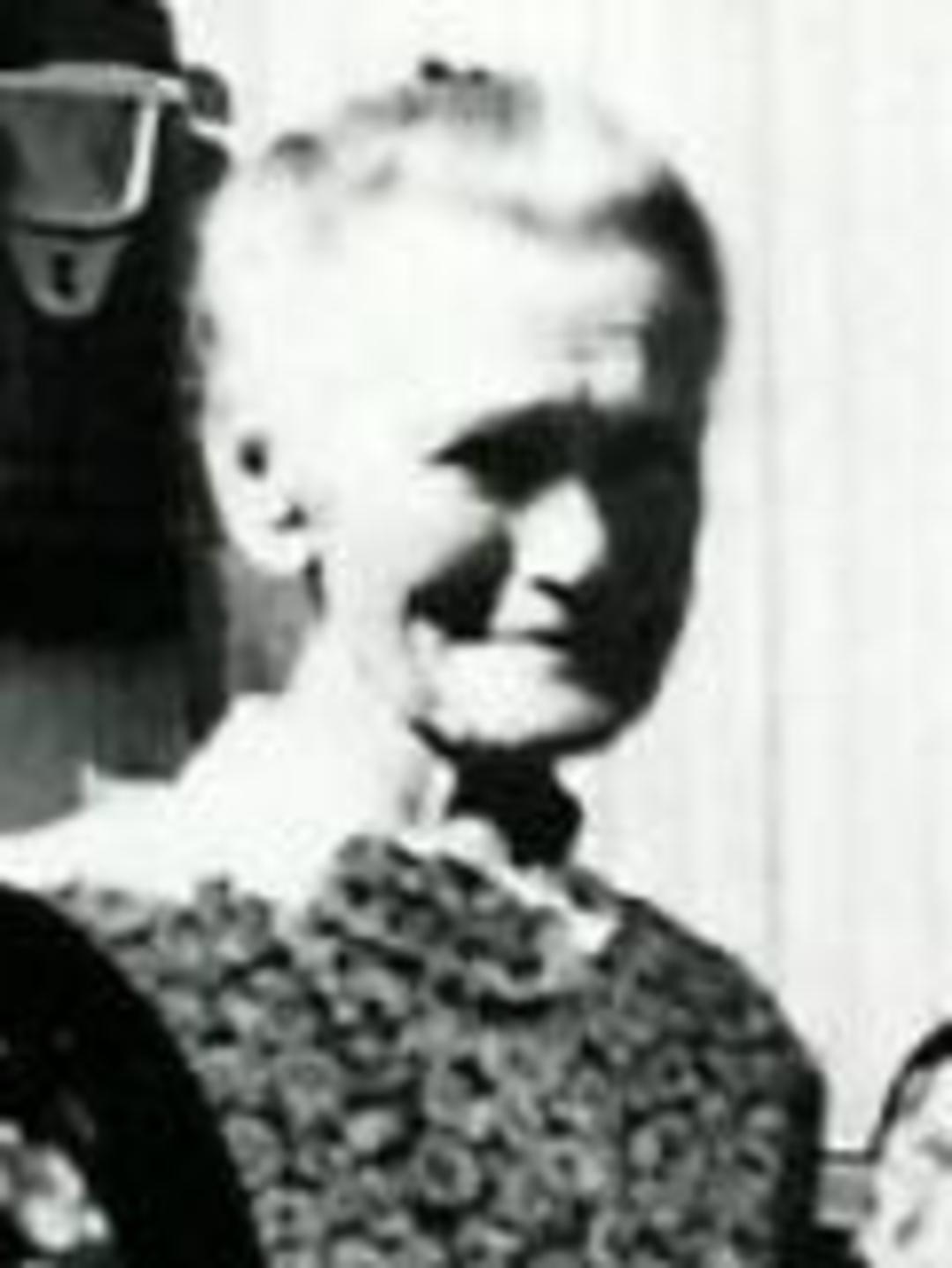 Eliza Ellen Adams (1860 - 1940) Profile